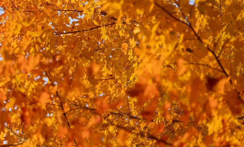 Learn and experience!