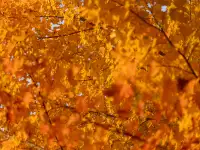 Learn and experience!